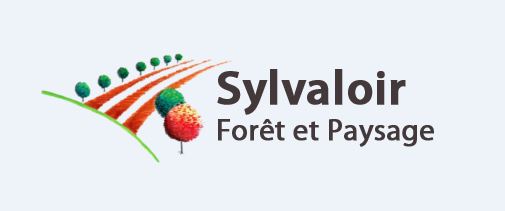 sylvaloir